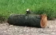 [Hearth.com] It was terrible, just left there to rot