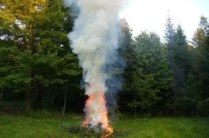 [Hearth.com] Gotta enjoy fires outside while one can.  NE BBQ Chicken.