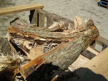 [Hearth.com] Wood ID pic.
