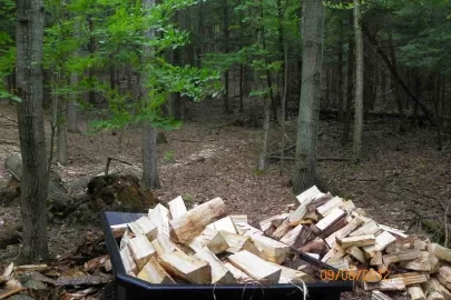 [Hearth.com] Chased Out By the Wind!