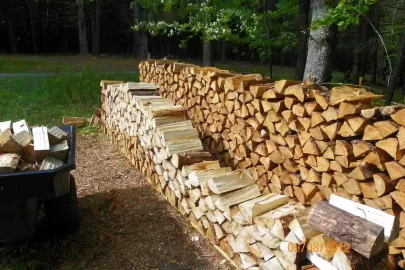 [Hearth.com] Chased Out By the Wind!