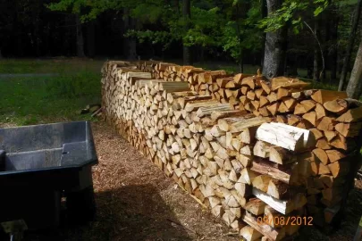 [Hearth.com] Chased Out By the Wind!