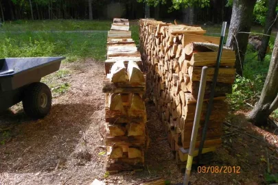 [Hearth.com] Chased Out By the Wind!