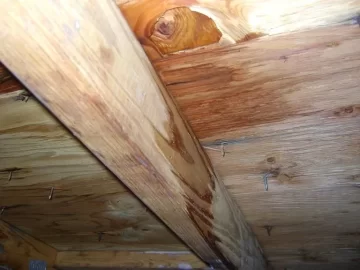 [Hearth.com] Existing Chimney Concerns