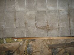 Hairline cracks in tile liner--usable? or must reline?