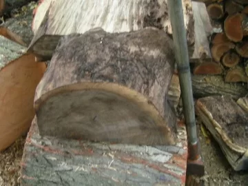 [Hearth.com] Another use for gnarly old yardbird stumps....