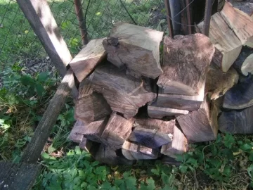 [Hearth.com] Another use for gnarly old yardbird stumps....
