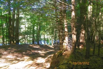 [Hearth.com] Trail Clearing this morning.