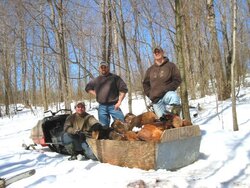 hauling wood off of the farm for the maple cooker.jpg