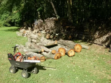 [Hearth.com] Did a little buckin today.