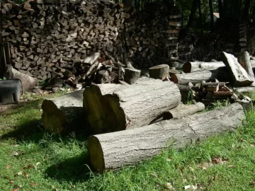 [Hearth.com] Did a little buckin today.
