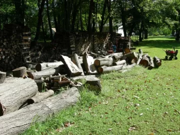 [Hearth.com] Did a little buckin today.