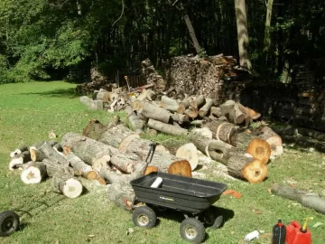 [Hearth.com] Did a little buckin today.
