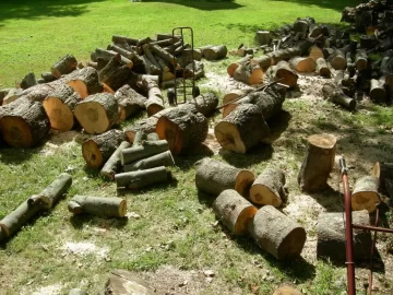 [Hearth.com] Did a little buckin today.