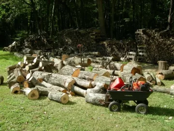 [Hearth.com] Did a little buckin today.