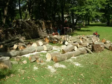 [Hearth.com] Did a little buckin today.