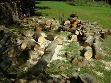 [Hearth.com] Did a little buckin today.