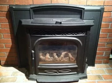 [Hearth.com] Two year old Harman insert (CL)