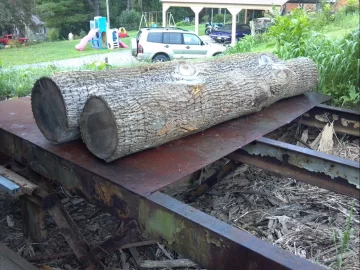[Hearth.com] Wood ID....good ending ???