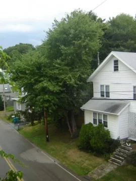 [Hearth.com] Power still out due to negligent woodlot management.