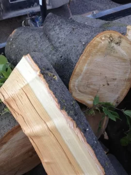 [Hearth.com] Wood ID, May tree??