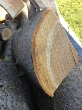 [Hearth.com] Wood ID, May tree??