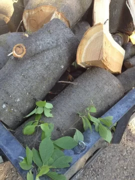[Hearth.com] Wood ID, May tree??