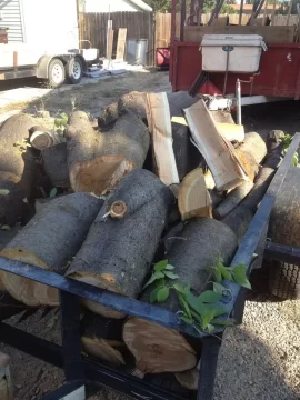[Hearth.com] Wood ID, May tree??