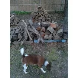 [Hearth.com] Long Island Firewood / Brookhaven Township