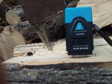 [Hearth.com] EAB officially confirmed in Massachusetts