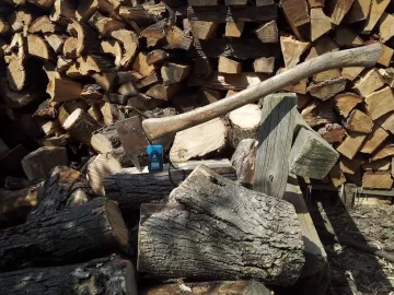 [Hearth.com] EAB officially confirmed in Massachusetts