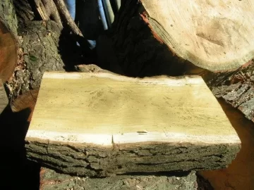[Hearth.com] Small Mulberry  Score Right Next Door!