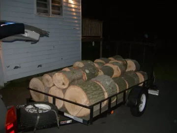 [Hearth.com] More oak