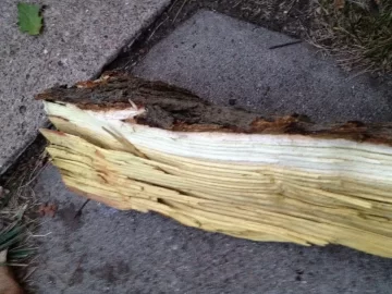 [Hearth.com] Please help ID this log