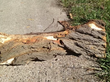 [Hearth.com] Please help ID this log