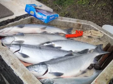 [Hearth.com] My Alaska Trip July 2012 - Can You Say "Fish On!"