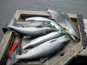 [Hearth.com] My Alaska Trip July 2012 - Can You Say "Fish On!"