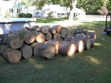[Hearth.com] A couple more trailer loads