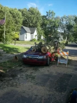 [Hearth.com] First post....and a crushed van!