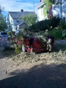 [Hearth.com] First post....and a crushed van!