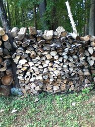 my firewood after 10 month's