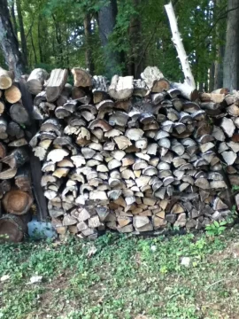 [Hearth.com] my firewood after 10 month's