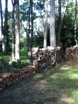 [Hearth.com] my firewood after 10 month's