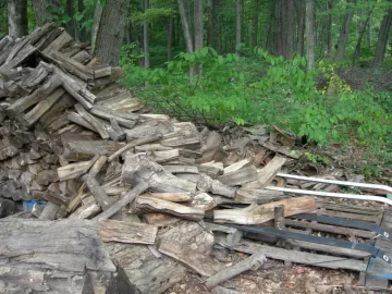 [Hearth.com] Did a little splitting today