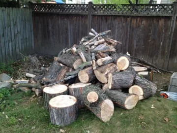 [Hearth.com] my first big free wood score!
