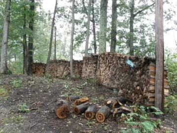 [Hearth.com] my firewood after 10 month's