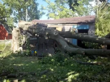 [Hearth.com] First post....and a crushed van!