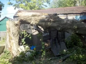 [Hearth.com] First post....and a crushed van!