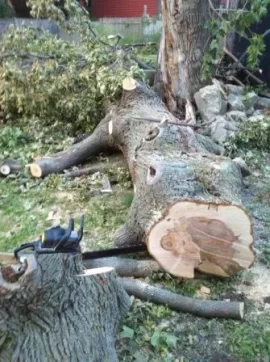 [Hearth.com] First post....and a crushed van!