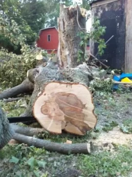 [Hearth.com] First post....and a crushed van!
